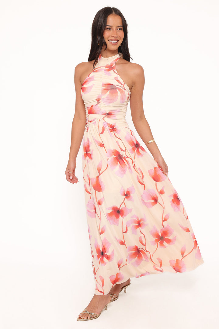 Kaira Halterneck Maxi Dress - Pink Floral